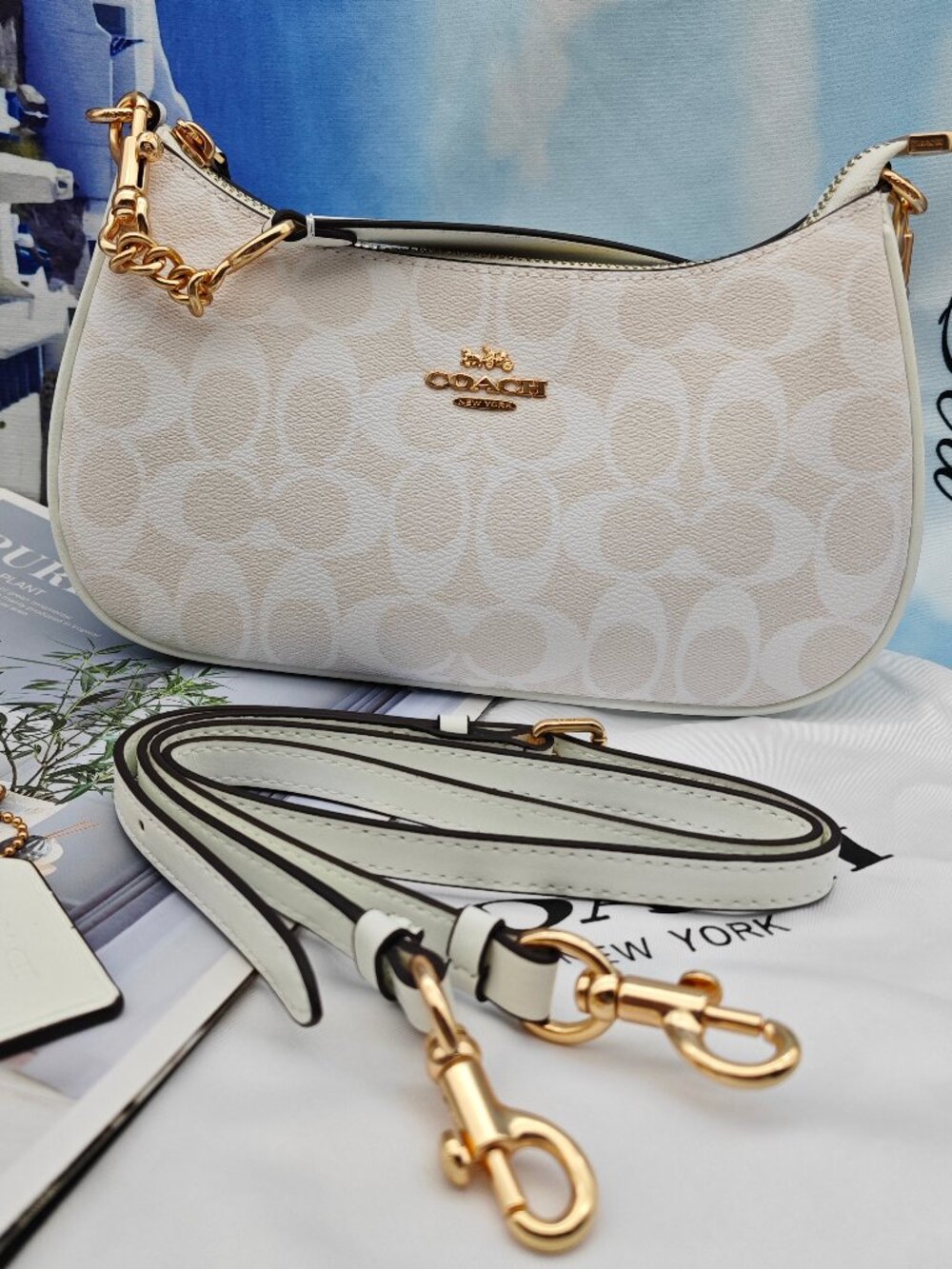 😁😁Coach Teri Shoulder Bag In Signature Canvas white